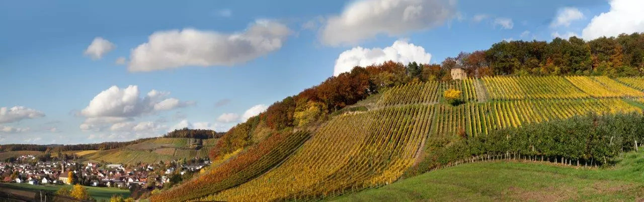 Weinberge im Kraichgau im Norden des Anbaugebiets Baden im Herbst.
