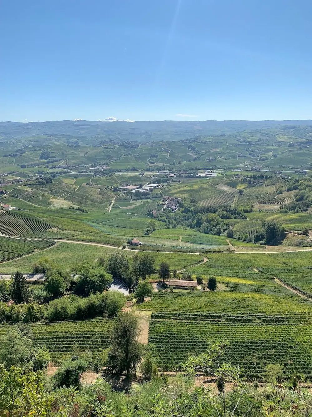 Blick über das Barolo-Gebiet mit den verschiedenen Einzellagen im Piemont.