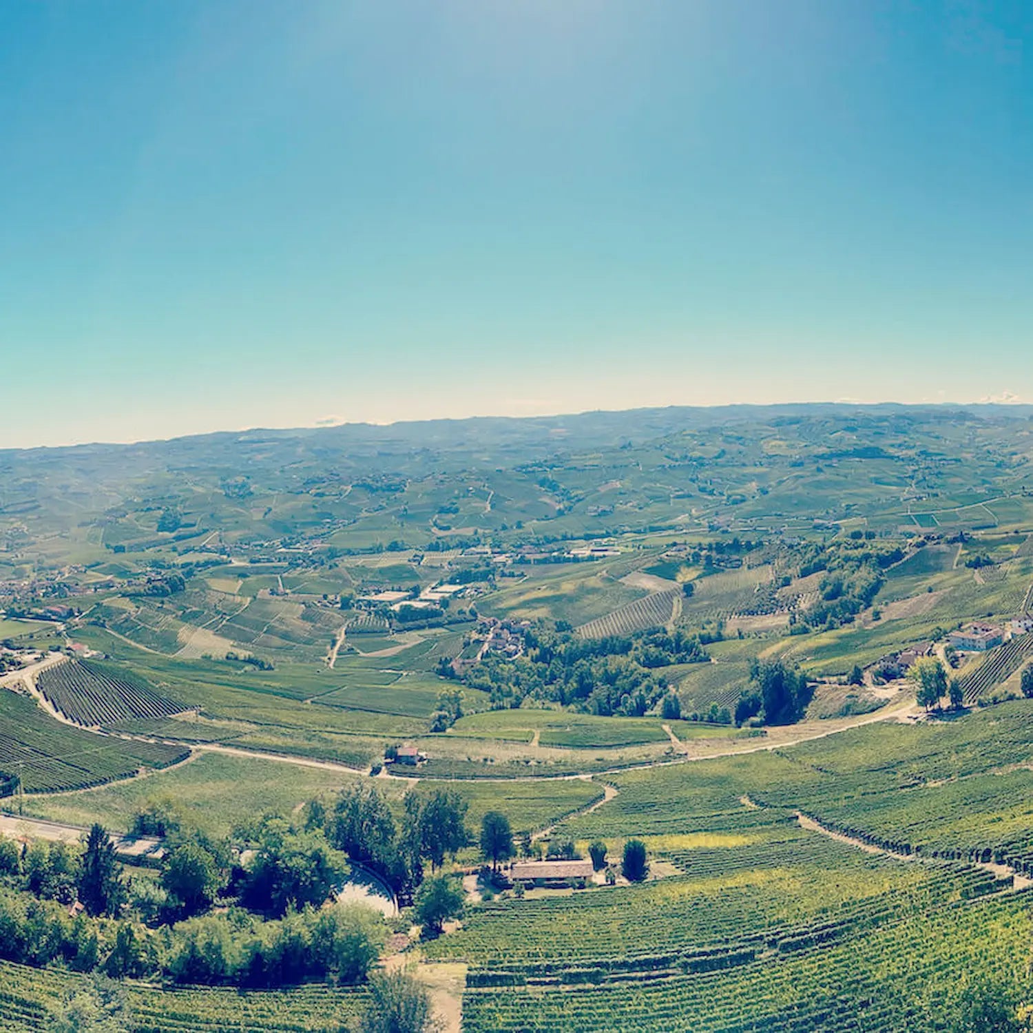 Panorama über Barolo im Piemont von La Morra fotografiert.