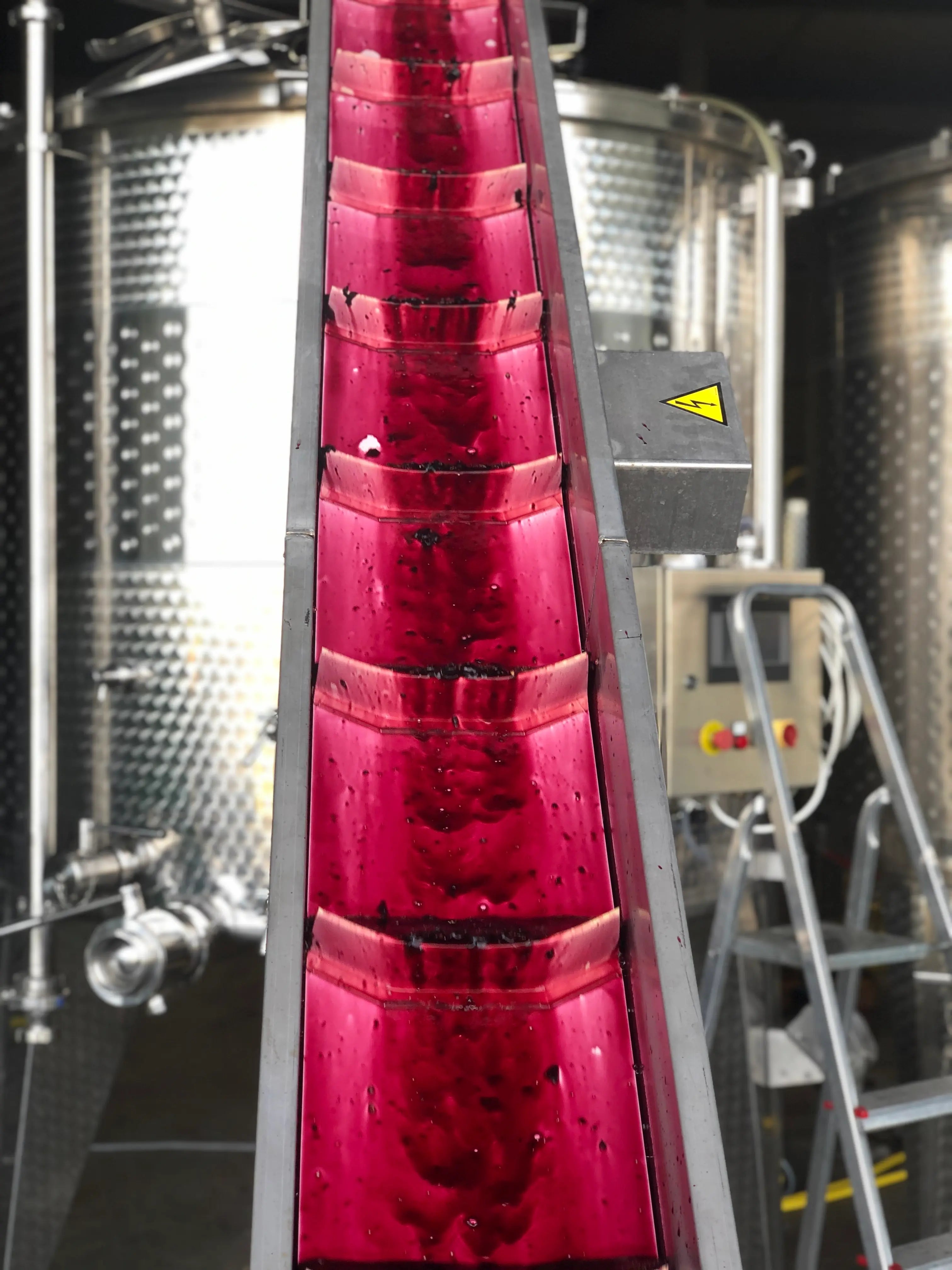 Frisch gepresste Trauben kurz nach der Presse bei der Brunner Weinmanufaktur.