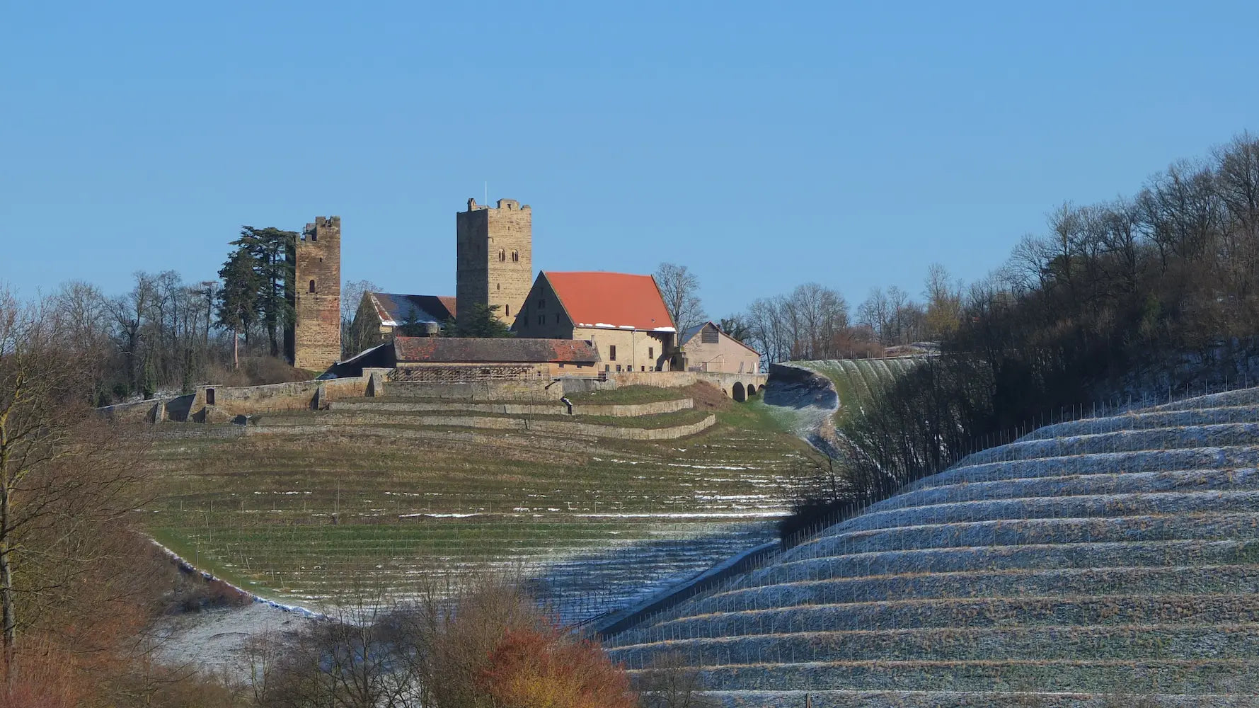 Blick auf die Burg Neipperg mit der Einzellage Neipperger Schlossberg darunter vom Weingut Graf Neipperg in Württemberg.