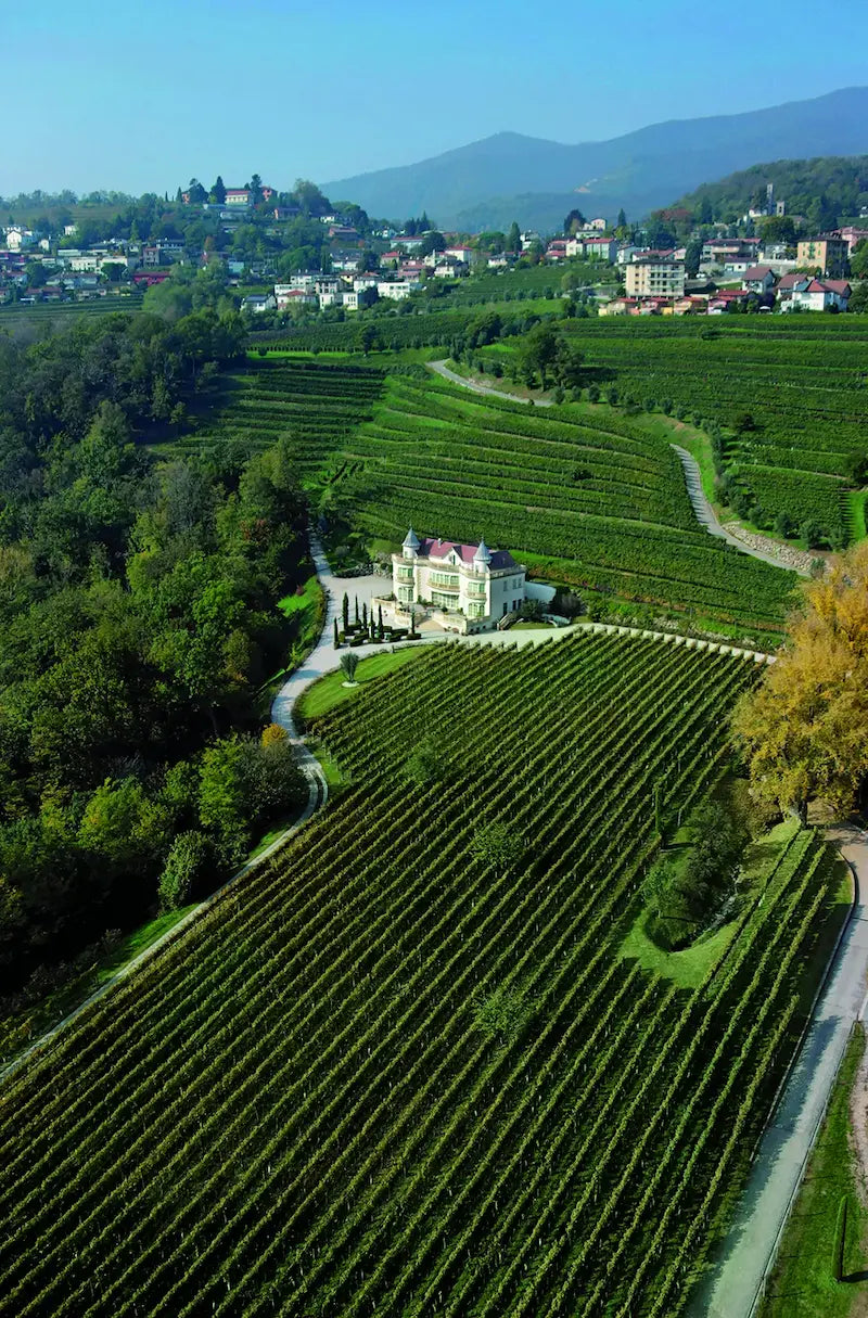 Panoramabild vom Castello Luigi mit umliegenden Rebbergen im Tessin.