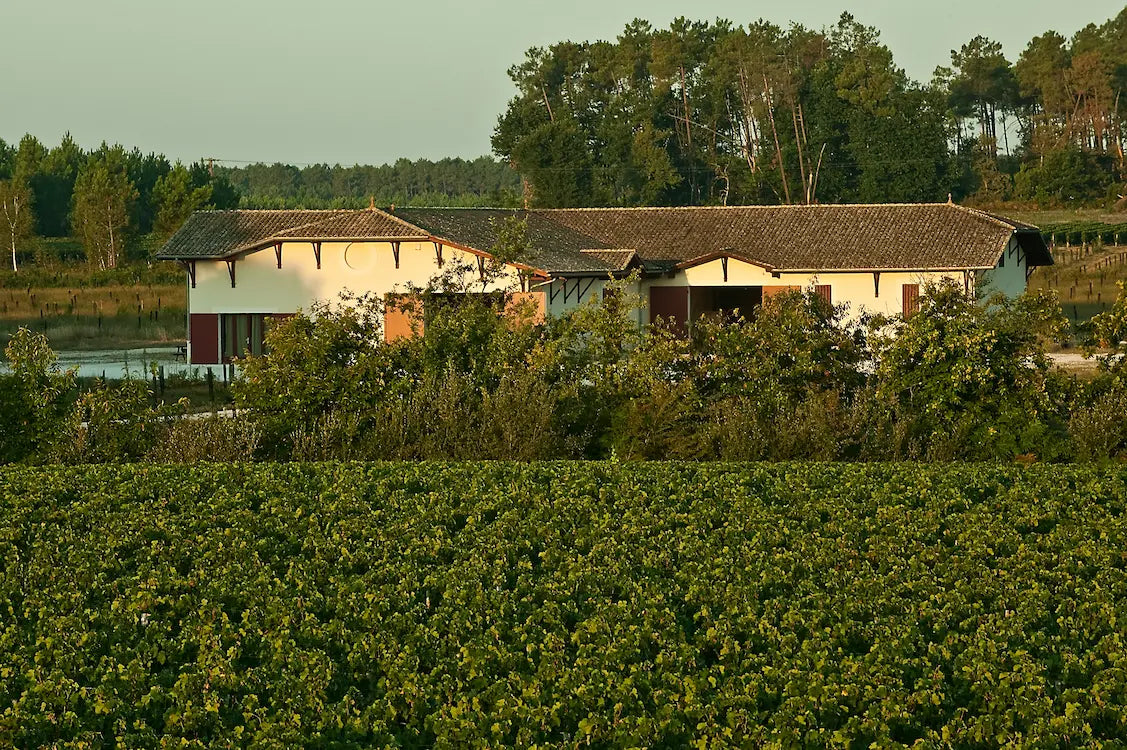 Nahaufnahme vom Weingut Clos Marsalette in Péssac-Leognan mit Wald im Hintergrund.