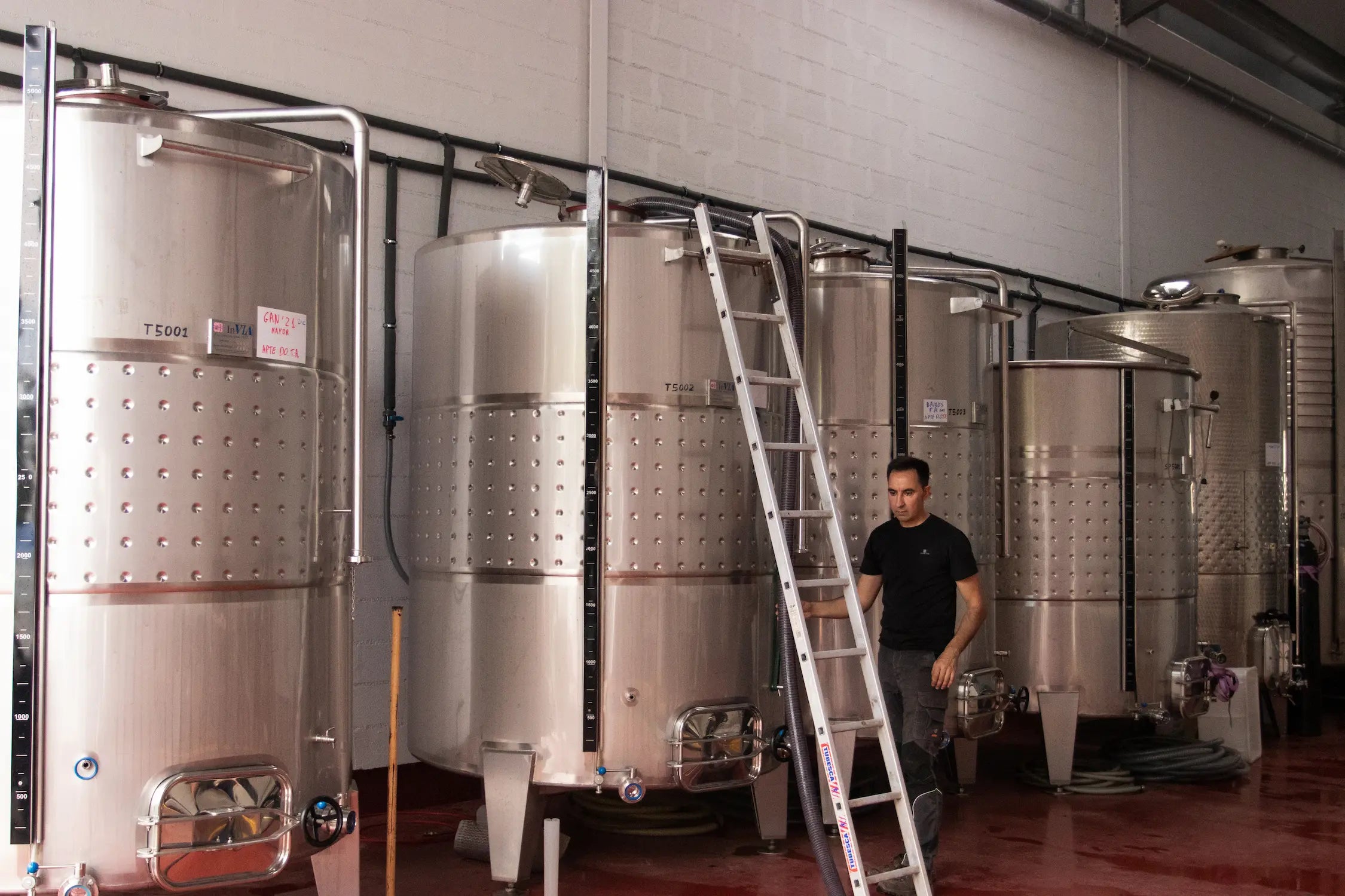 Keller mit Stahltanks, in dem Llouis Balart von Celler Balart arbeitet.