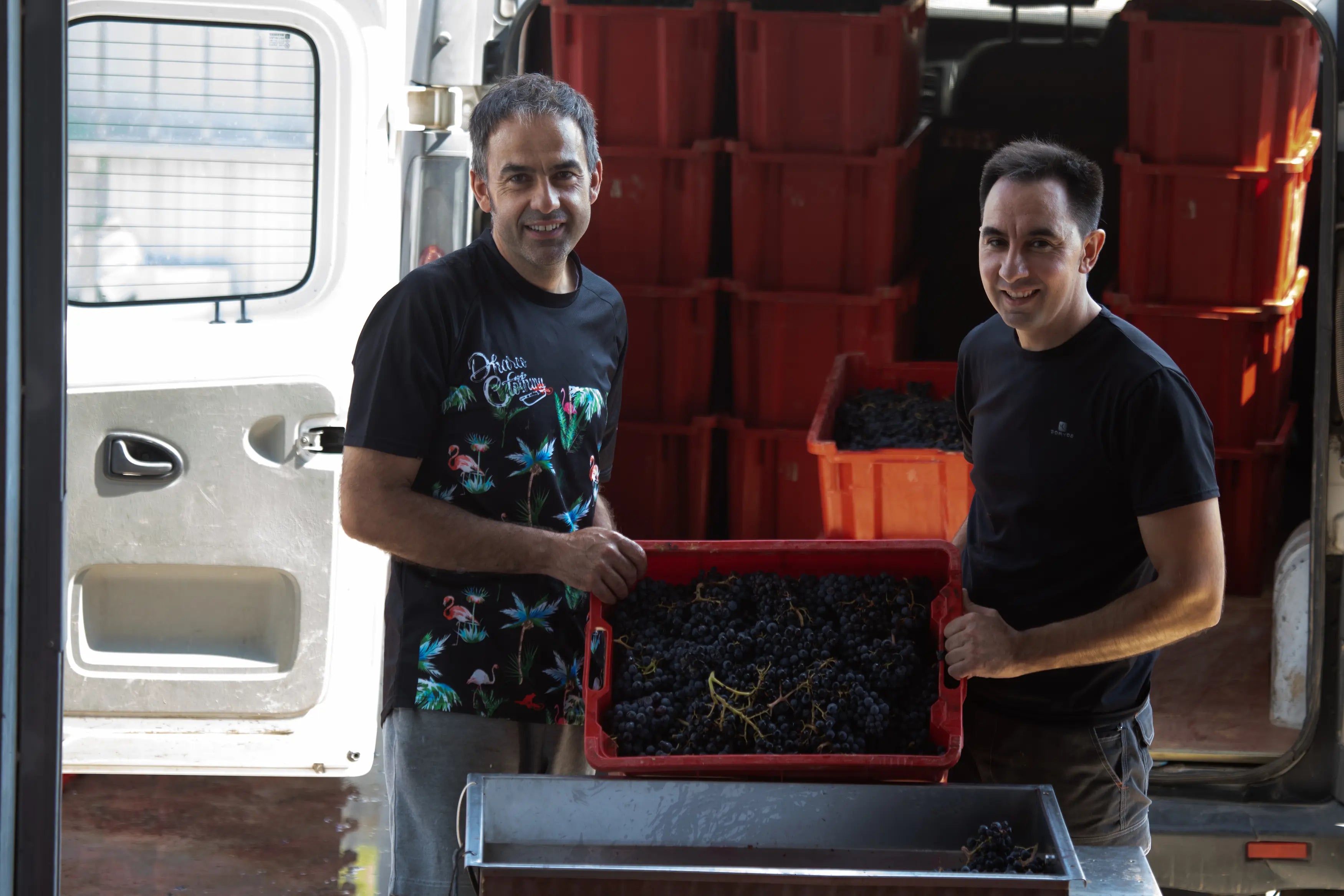 Marc und Llouis Balart bei der Ernte mit Trauben bei Celler Balart.