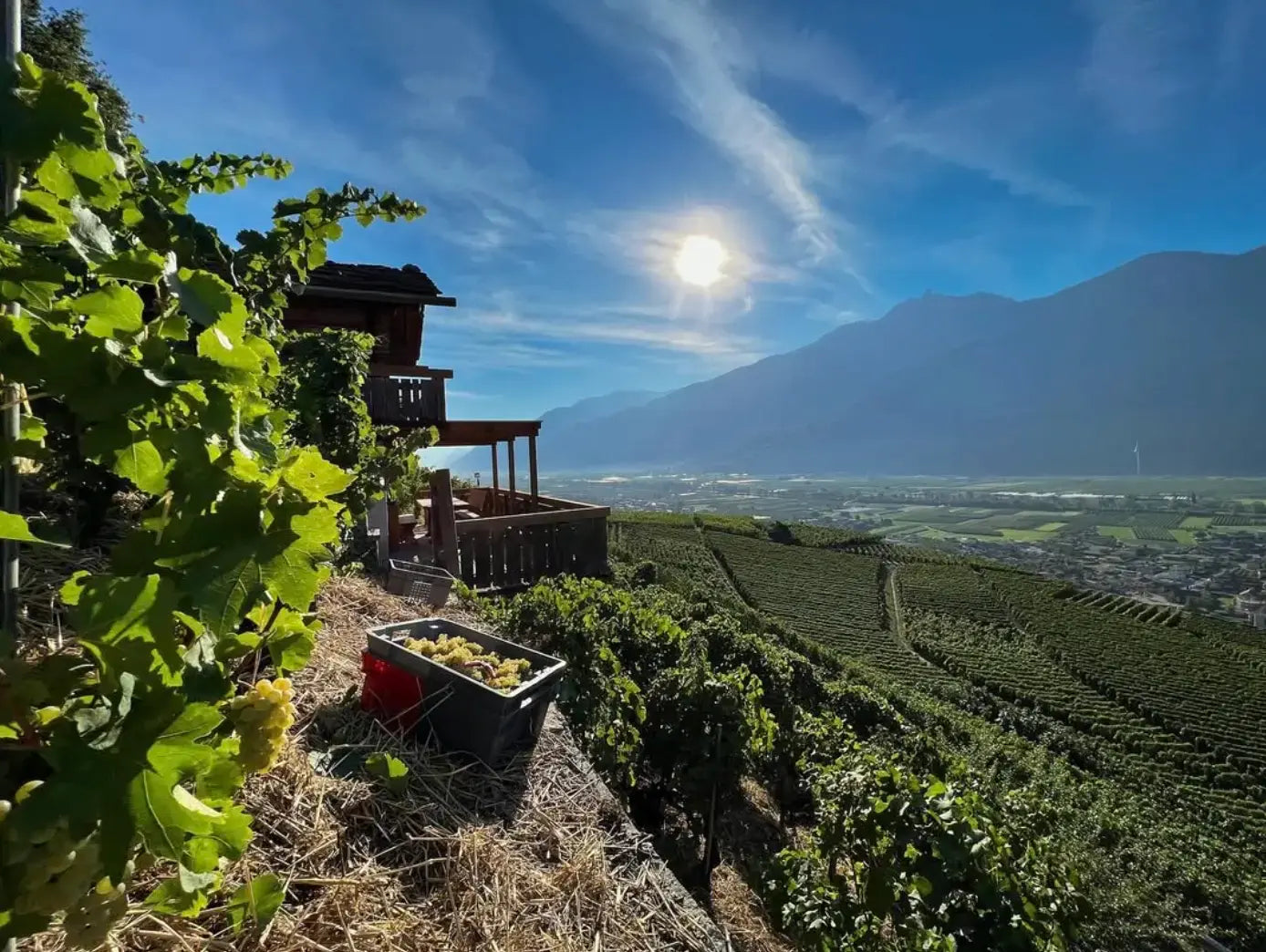 Panoramabild vom Chalet im Mon Jardin Secret mit Blick über das Tal und Weinberge.