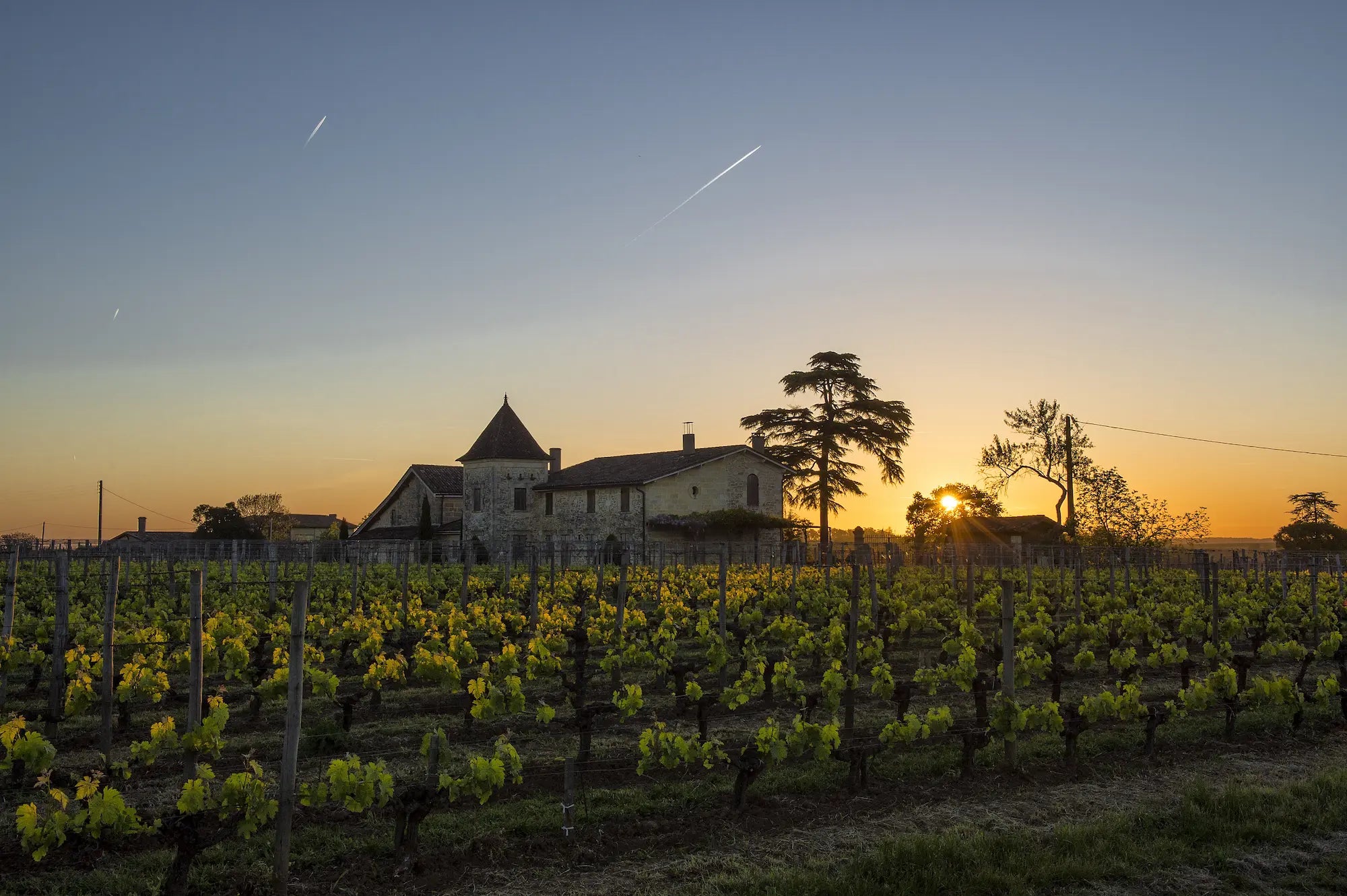 Typisches Château in Bordeaux mit Rebbergen davor und dem Sonnenuntergang hinter den Reben.