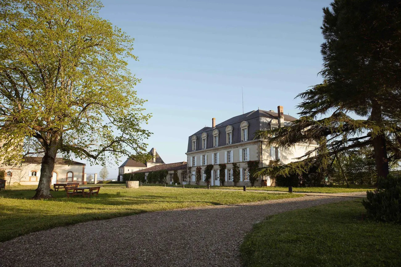 Aussenaufnahme vom Château Guiraud mit Kiesweg zum Schloss mit grünflächen und Parkbänken unter einem Baum.