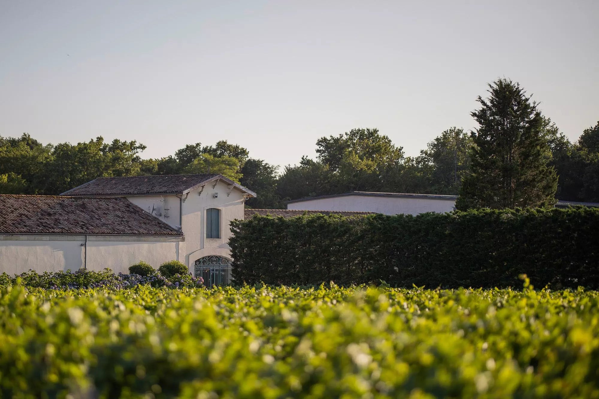 Typisches Château auf dem linken Ufer von Bordeaux im Gebiet Médoc.