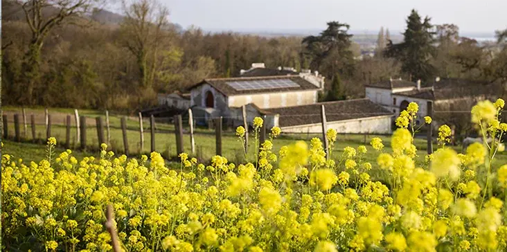 Aussenaufnahme des Gebäude von Château l'Escardrie mit Blumen im Vordergrund.