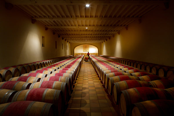 Barriques im grossen Fasskeller von Château Phélan Ségur.