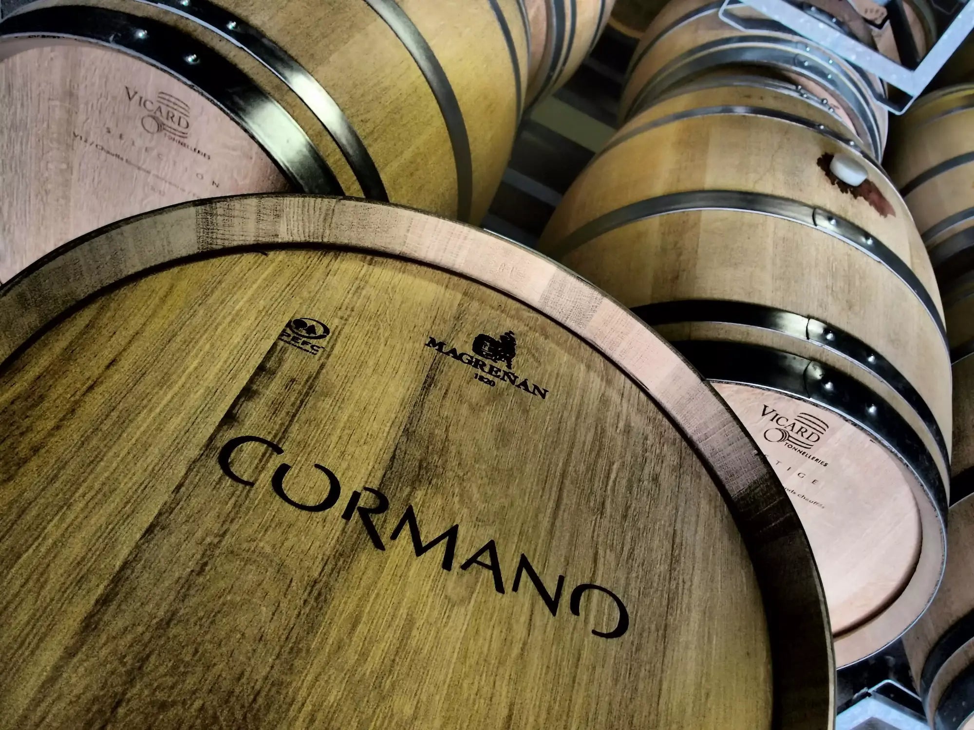 Barriques im Keller von Cormano Vini im Tessin.