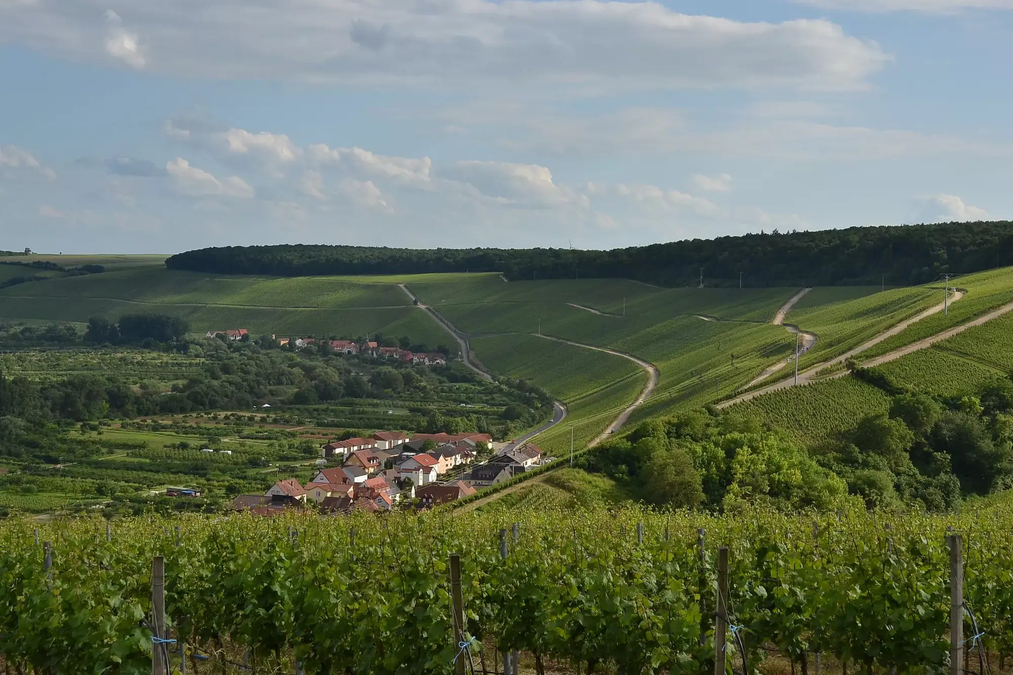 Blick über die Weinberge im Weinanbaugebiet Franken mit Dörfern im Tal.