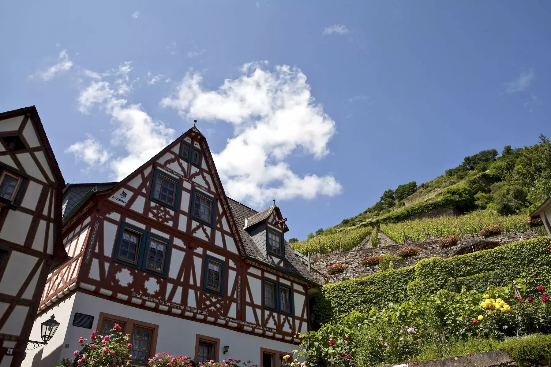 Altes Fachwerkhaus mit Weinbergen dahinter im Anbaugebiet Mittelrhein.