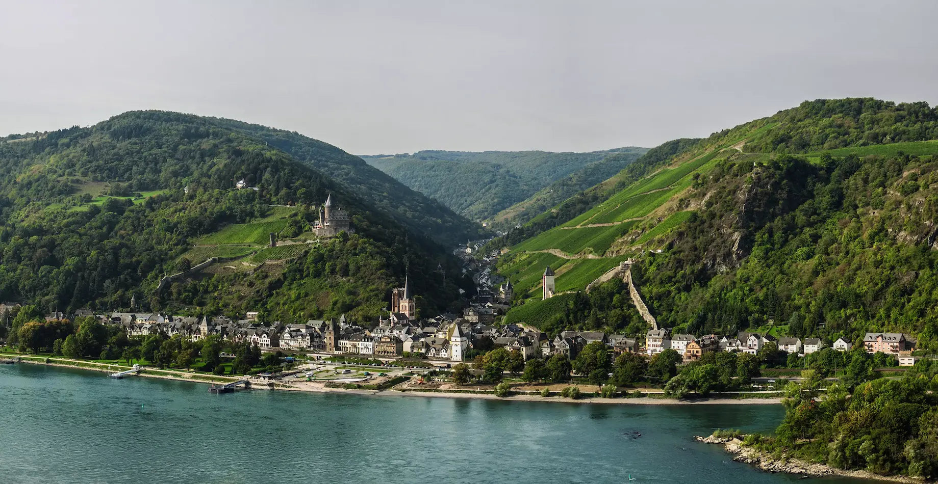 Panorama über Weinberge am Mittelrhein mit der Gemeinde Bacharach direkt am Rhein.