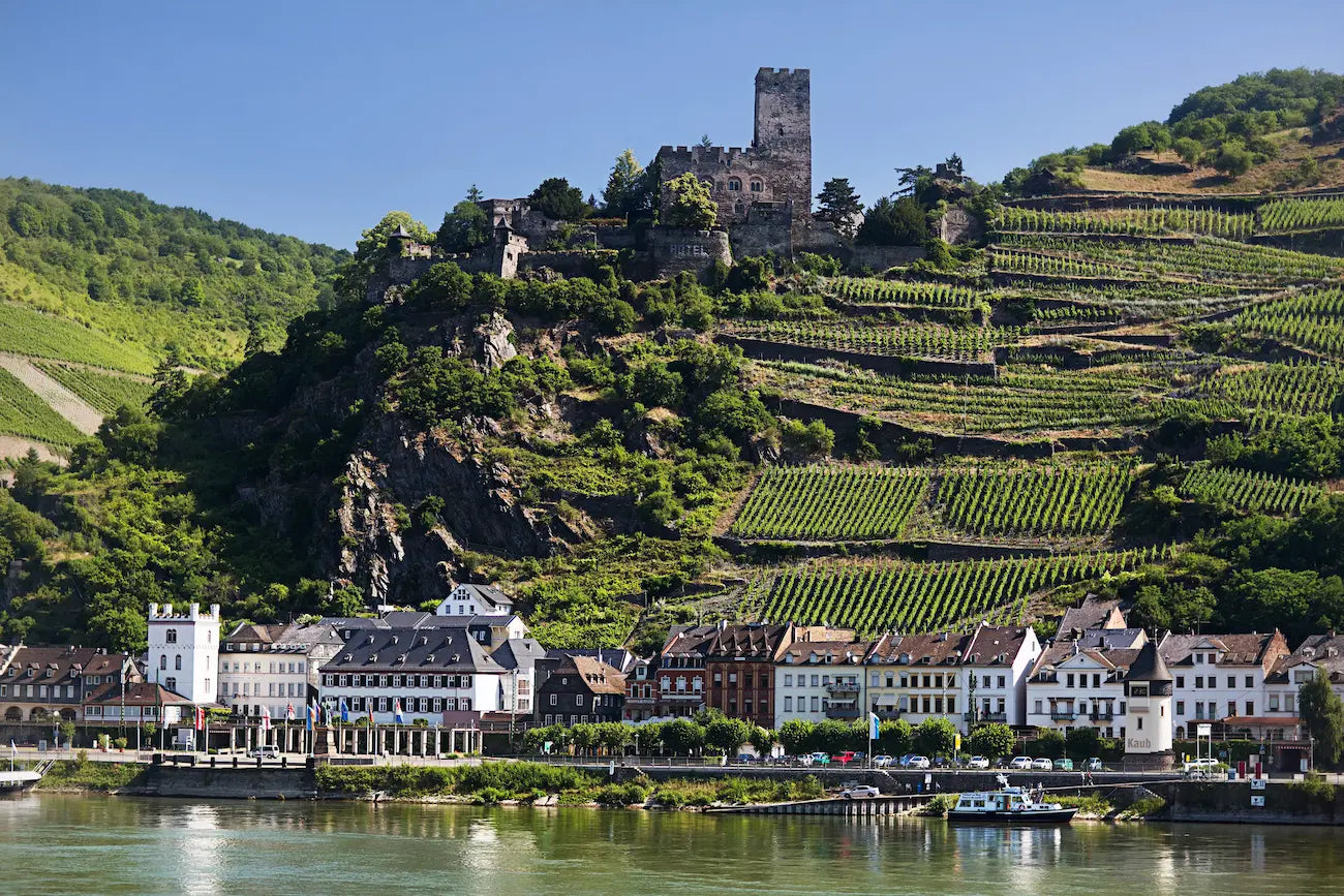 Burg Gutenfels mit Weinbergen ringsherum in Steillagen und der Gemeinde im Anbaugebiet Mittelrhein.