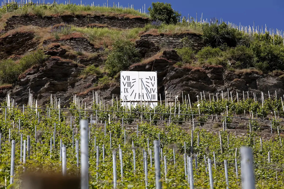 Juffer Sonnenuhr mit Rebbergen und Schieferfelsen im Anbaugebiet Mosel.
