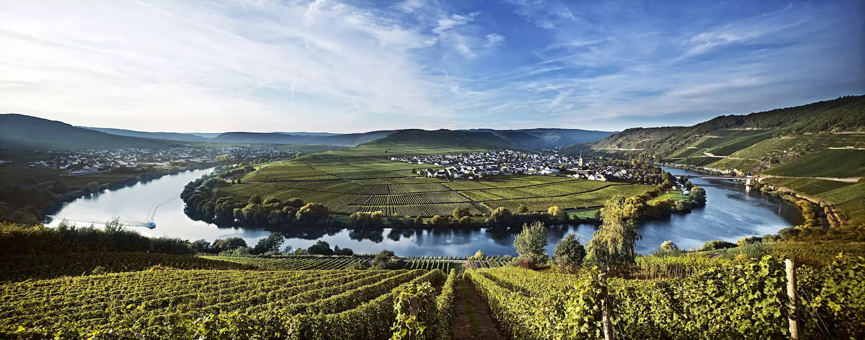 Flussschlaufe im Hochsommer in den Rebbergen im Weinanbaugebiet Mosel.