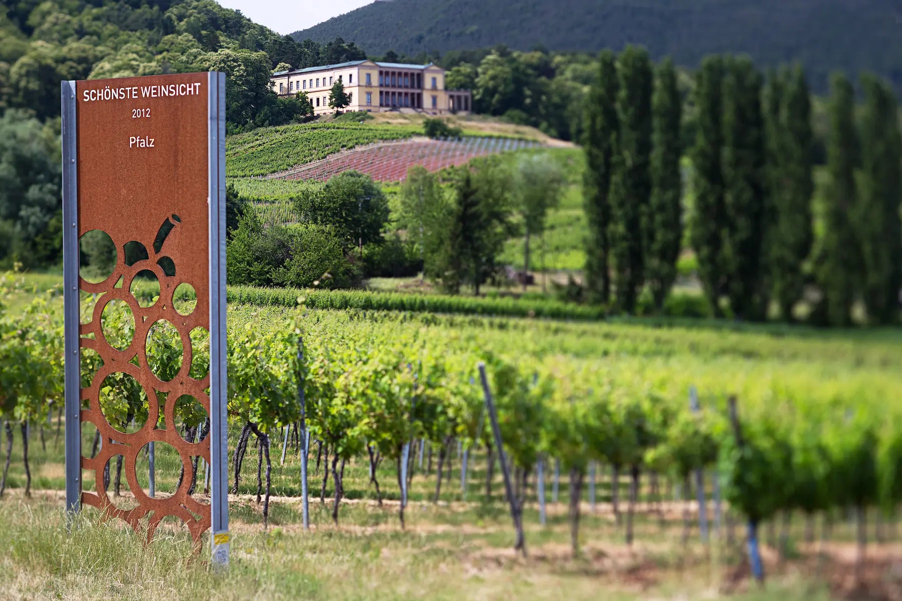 Weinberge in der Pfalz mit einem grossen Gebäude und Wald im Hintergrund.