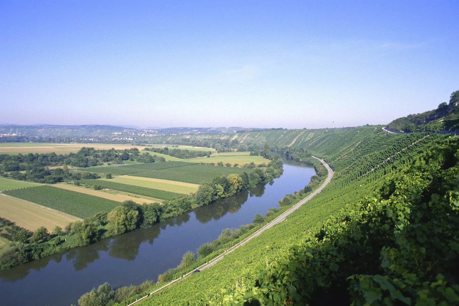 Blick auf den Neckar mit steilen Rebbergen entlang des Flusses im Anbaugebiet Württemberg.