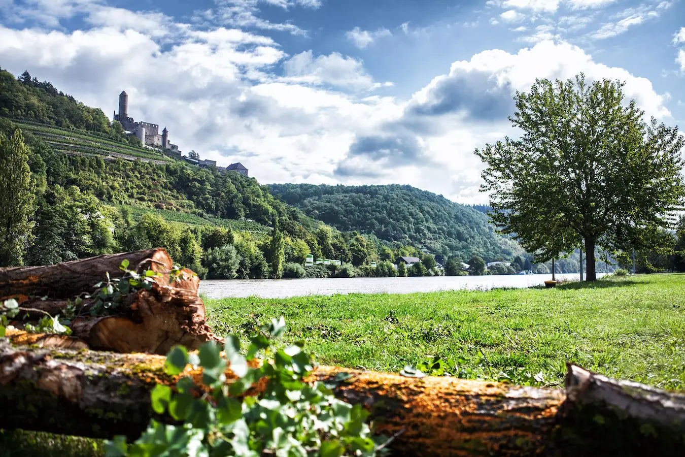 Park am Neckar mit Rebbergen und Schloss auf der anderen Flussseite im Anbaugebiet Württemberg.