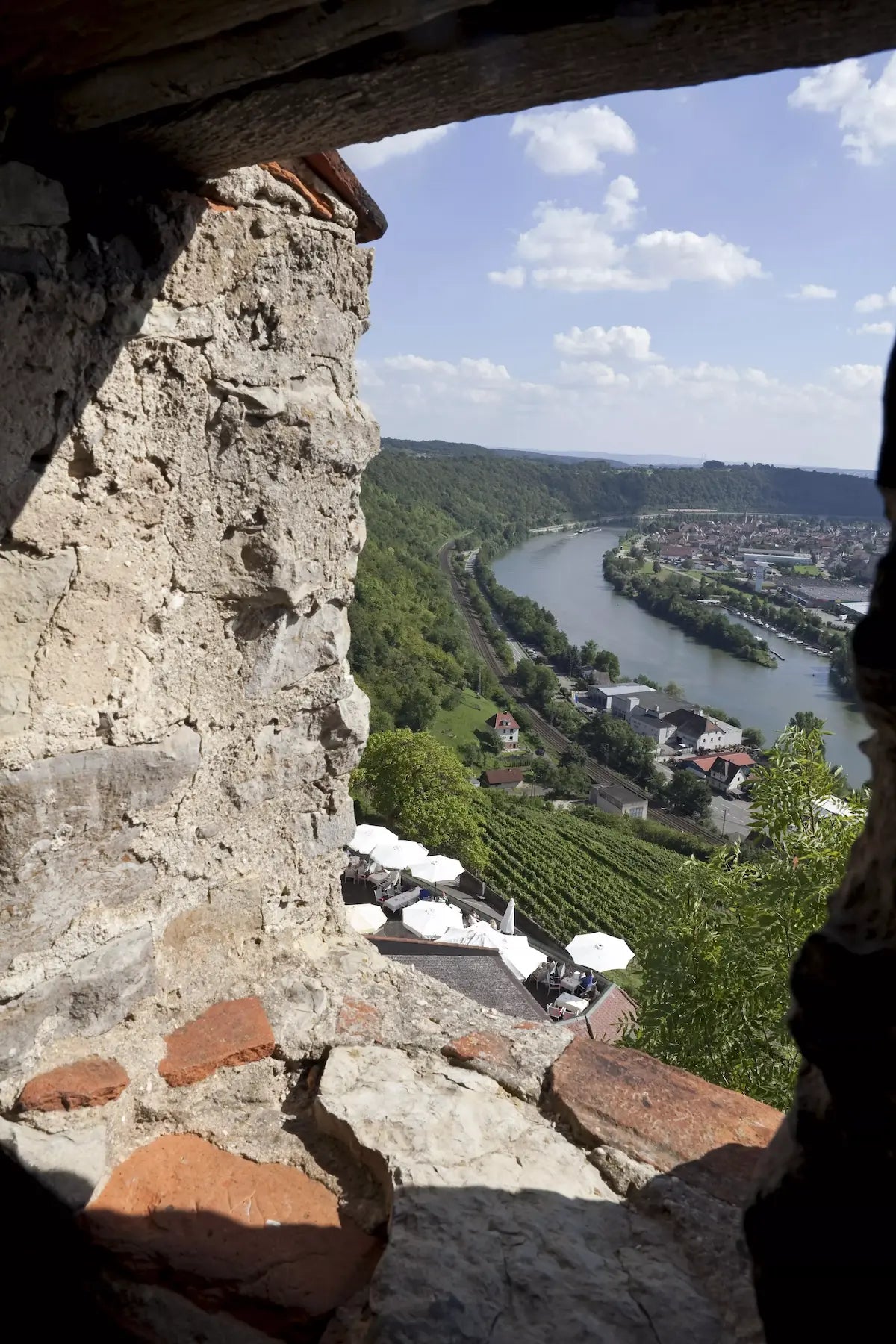 Borg Hornberg oberhalb des Neckars mit Blick auf den Fluss und Rebberge in Württemberg.