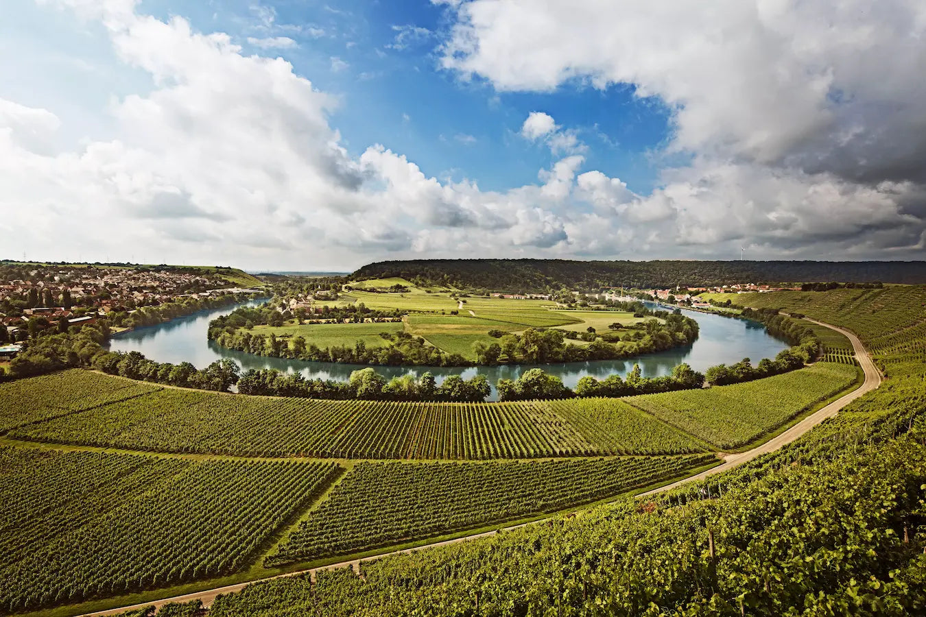 Neckarschlaufe bei Mundelsheim mit Rebbergen entlang des Flusses im Anbaugebiet Württemberg.