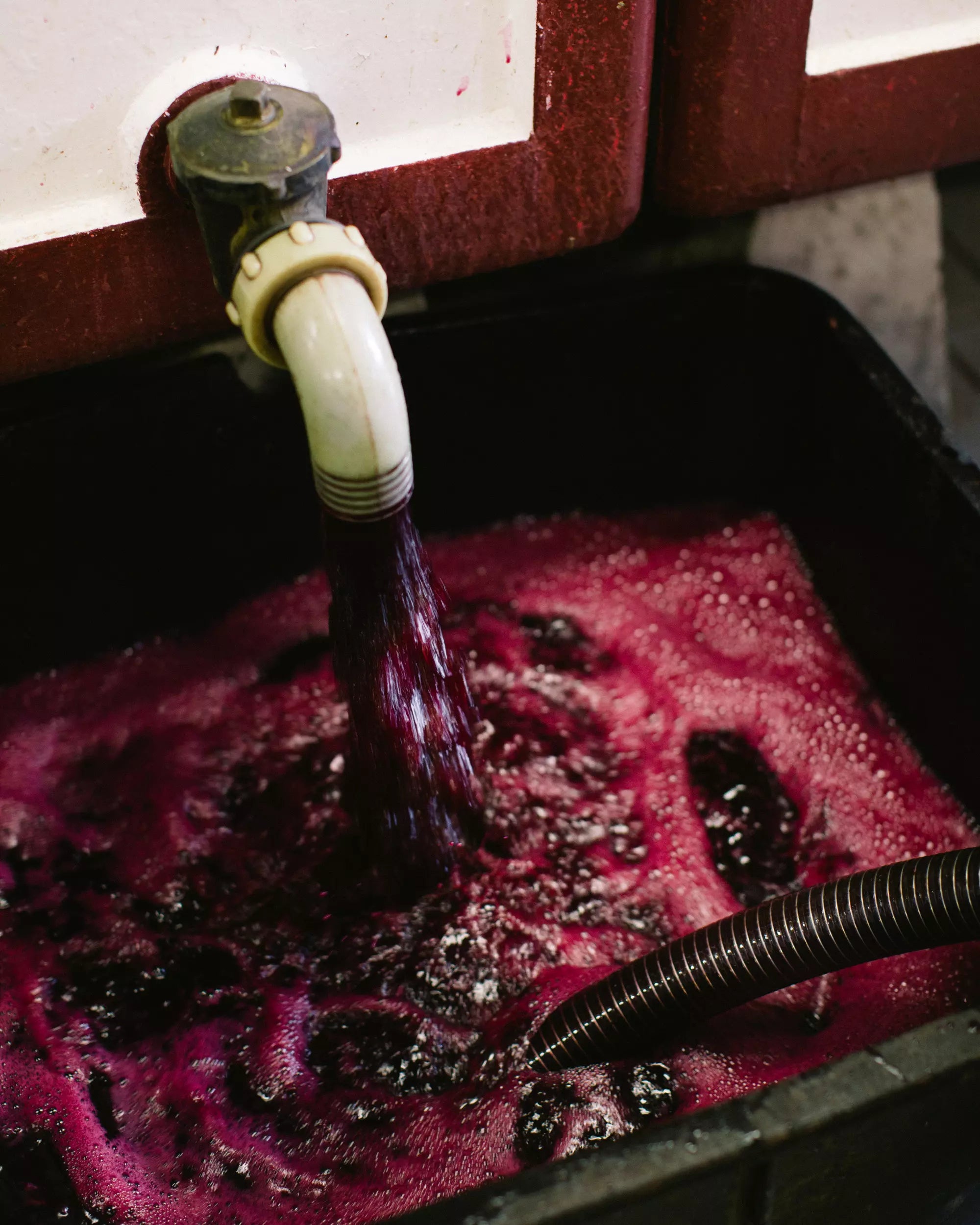 Rotwein im Betontank bei Demarie im Piemont.