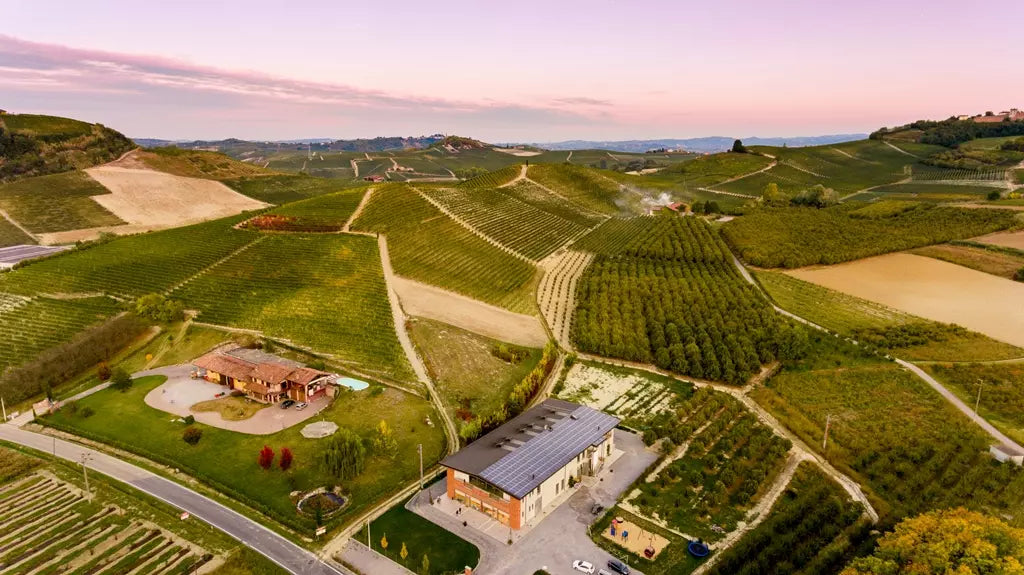 Luftaufnahme vom Weingut Demarie mit umliegenden Rebbergen im Roero-Gebiet.