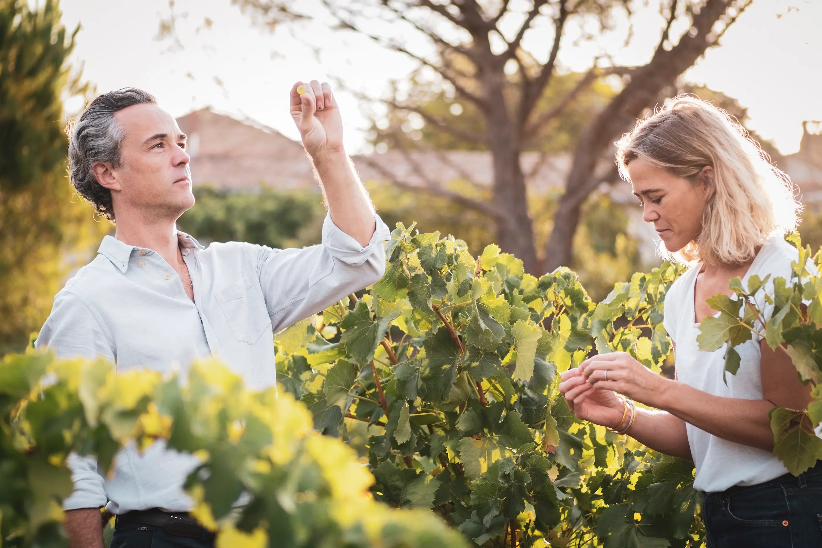 Olivier Coste mit seiner Frau in den Weinbergen der Domaine Montrose.