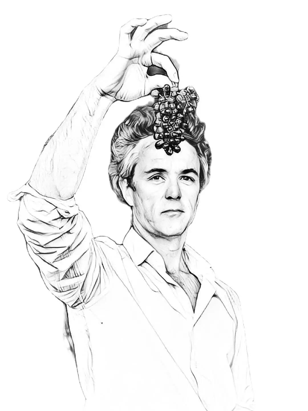 Gezeichnetes und animiertes Portrait von Olivier Coste von der Domaine Montrose.