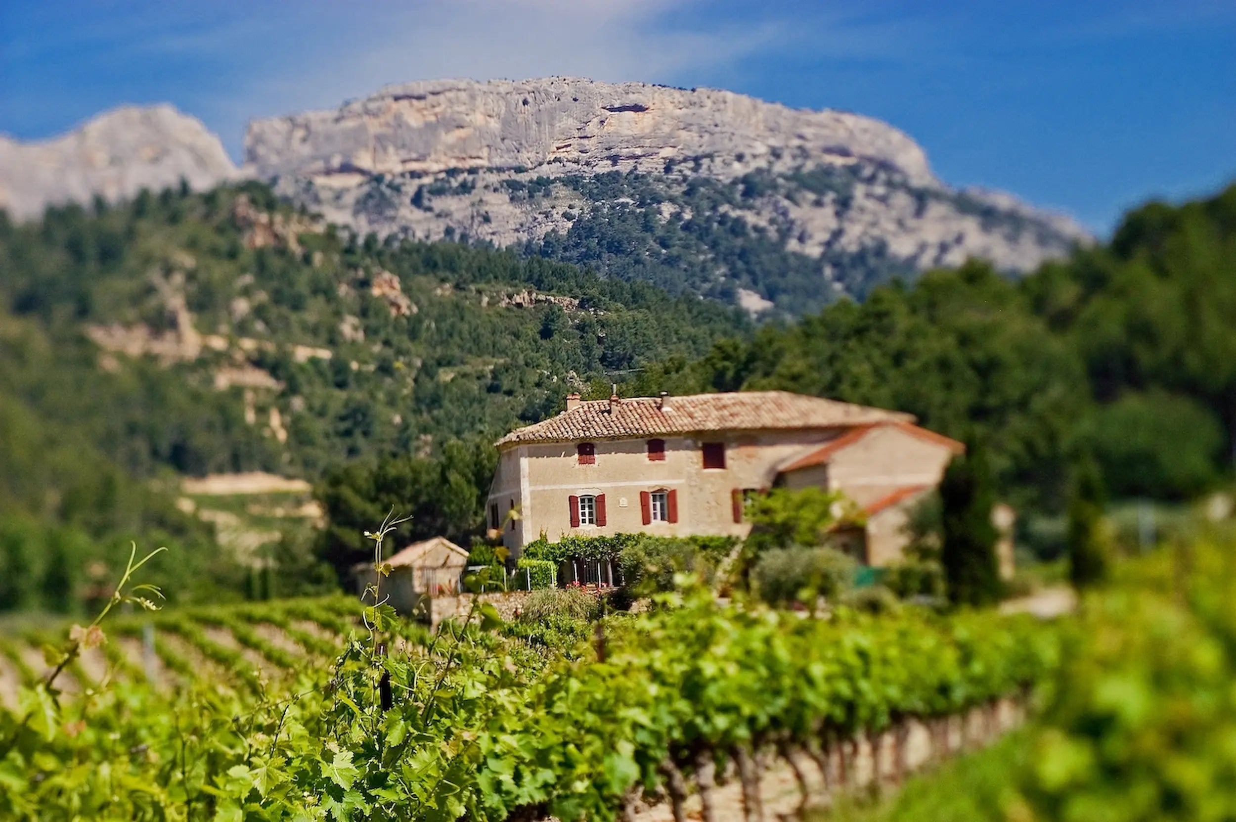 Domaine des Bernardins mit Weinbergen im Vordergrund und Bergen im Hintergrund.