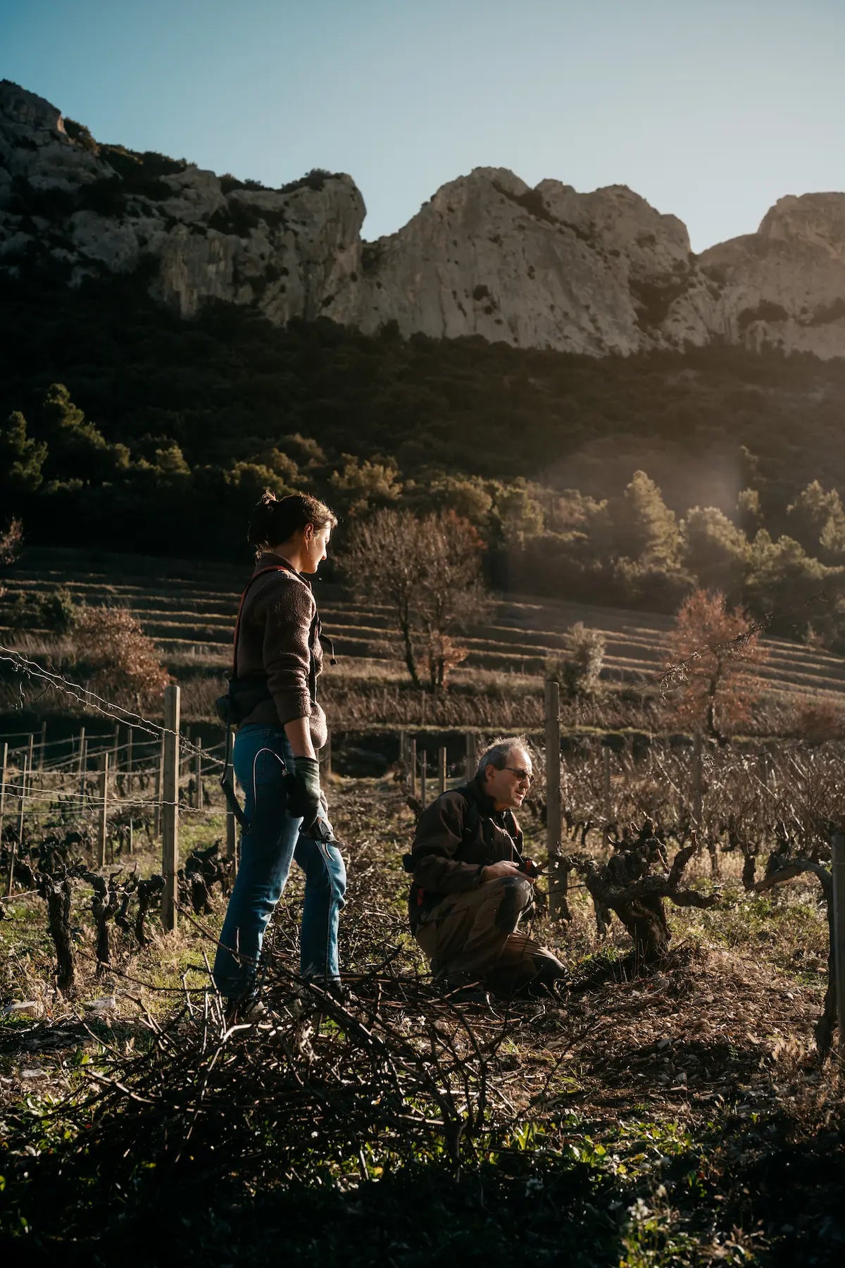 Thierry Faravel der Domaine La Bouissière mit einer Mitarbeiterin beim schneiden der alten Rebstöcke in Gigondas.