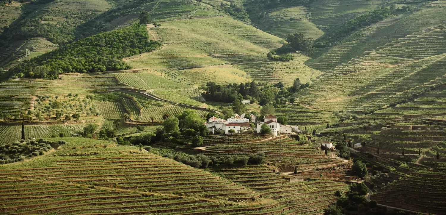 Terrassierte Rebberge im Douro-Tal in Portugal mit dem Weingut Ramos Pinto umrandet von Rebbergen.