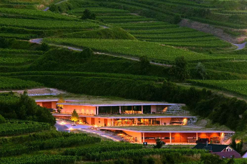 Aufnahme vom Gebäude des Weingut Franz Keller Schwarzer Adler am Kaiserstuhl, dass in die terrassierten Rebberge integriert ist.