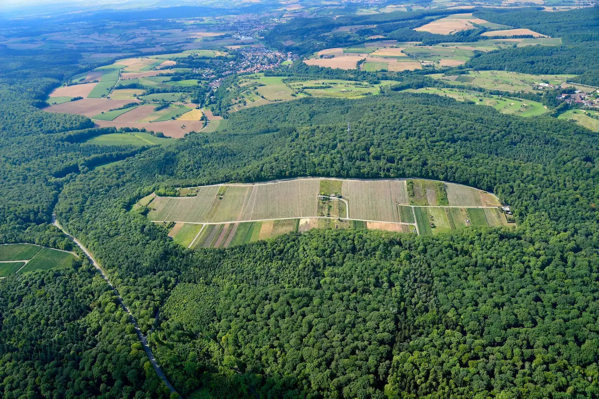 Luftaufnahme von der Einzellage Eichelberg Grosses Gewäch vom Weingut Heitlinger im Weinanbaugebiet Baden.