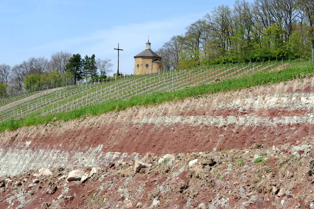 Terroir beim Weingut Heitlinger mit Weinbergen und einer Kapelle im Hintergrund.
