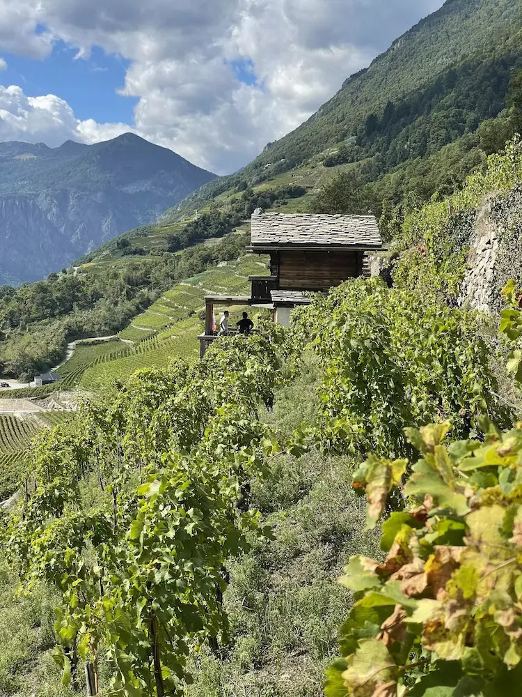 Blick auf das Chalet vom Mon Jardin Secret von Caroline Frey im Wallis.