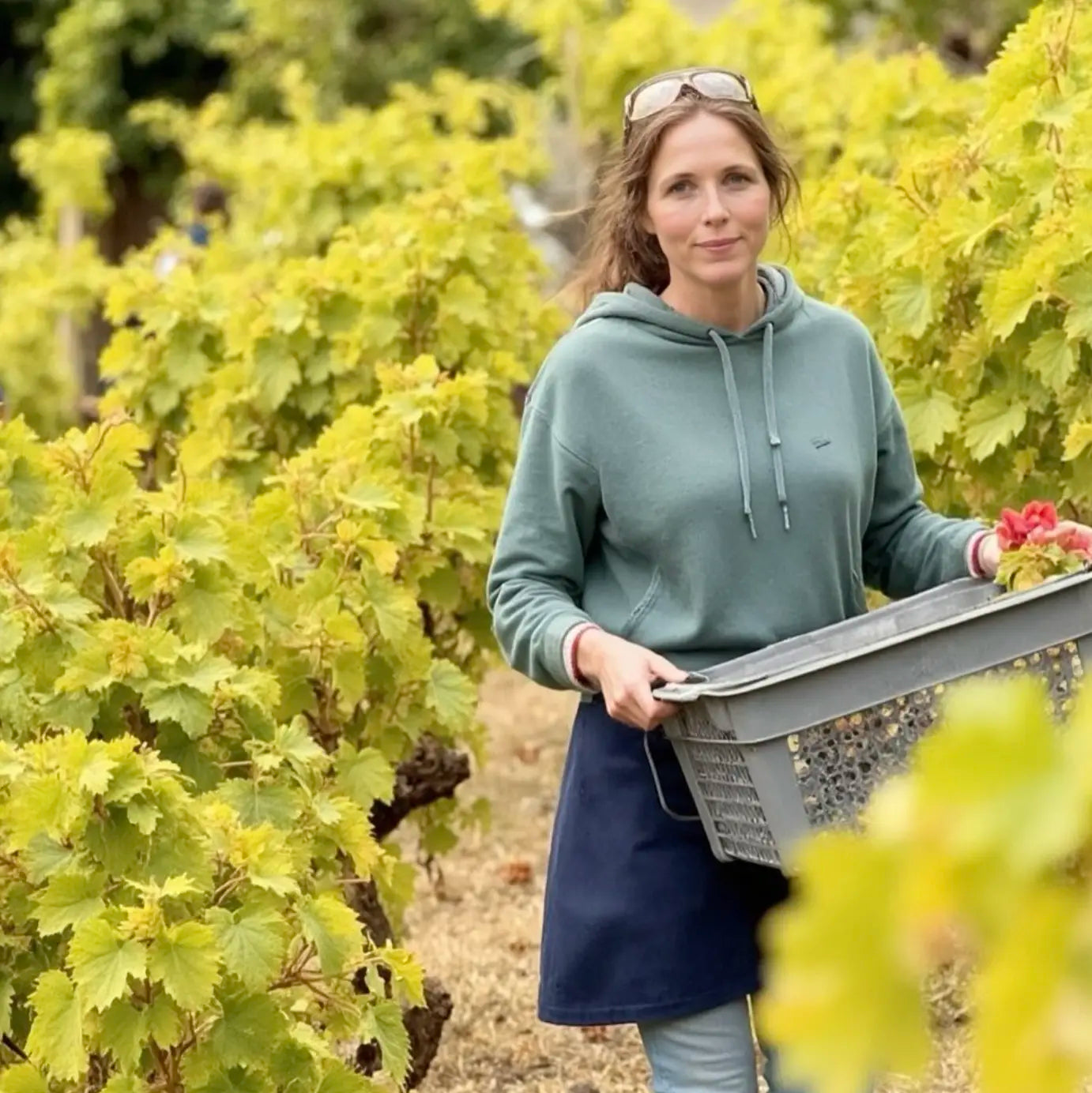 Caroline Frey in Ihrem Rebberg Mon Jardin Secret bei der Ernte mit Erntekorb.