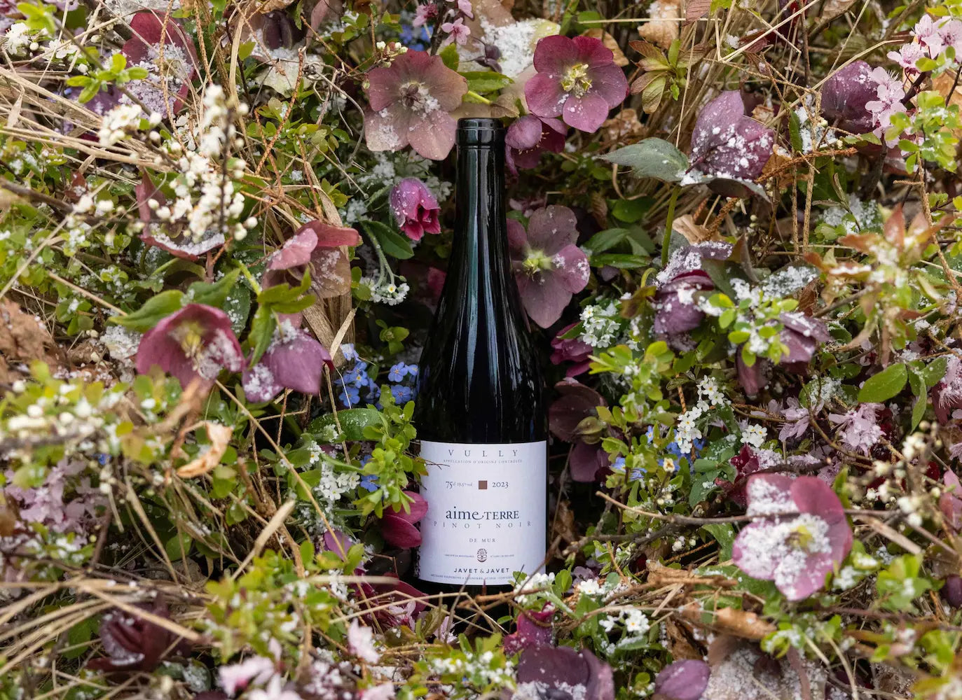 Flasche aime terre Pinot Noir de Mur von Javet & Javet inmitten einer Blumenwiese mit Wildblumen.