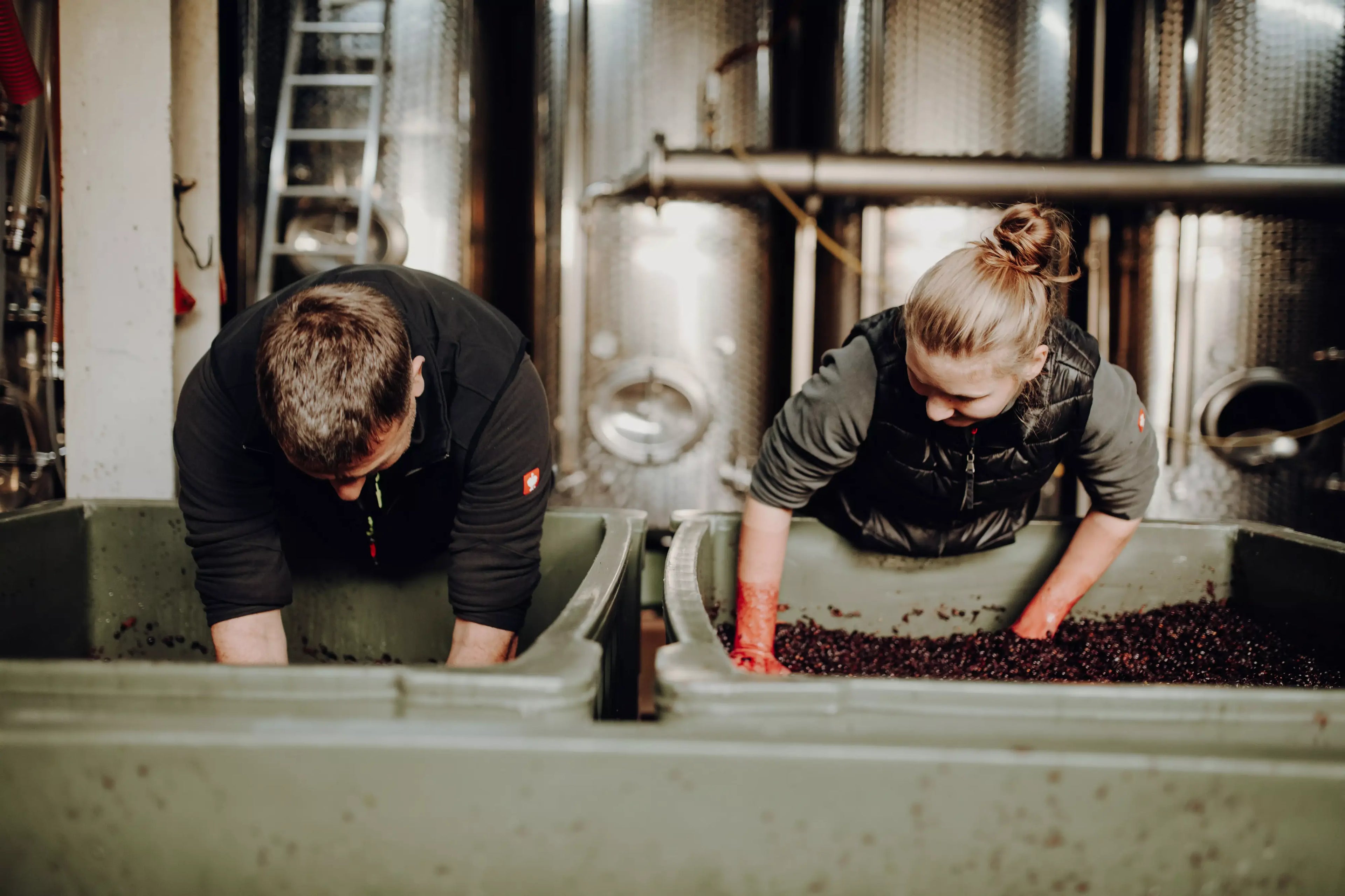 Jörg und Martina Bernhard bei der Arbeit im Keller im Weingut Bernhard in Rheinhessen.
