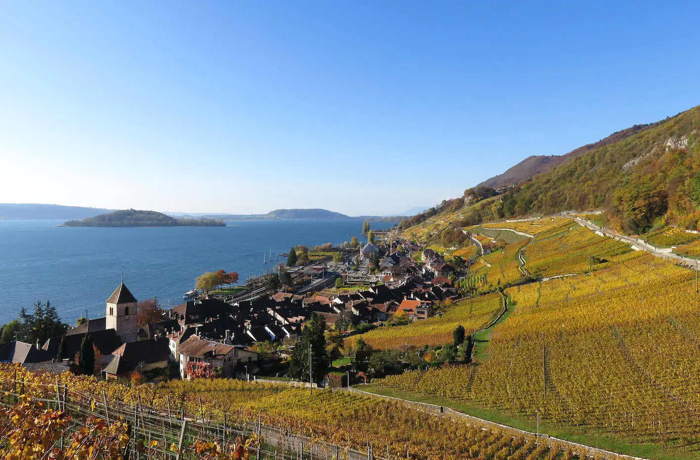 Aufnahme aus den Rebbergen vom Johanniterkeller Martin Hubacher in Twann mit dem Dorf und dem Bielersee im Hintergrund.