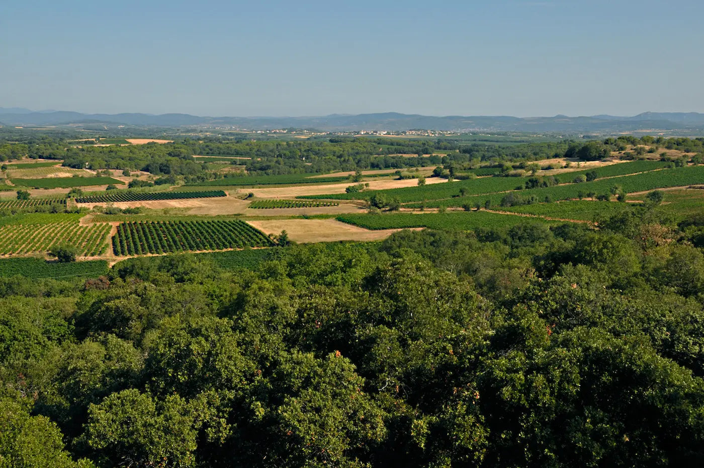 Luftaufnahme von der Landschaft und den rebbergen im Languedoc mit Bergen weit im Hintergrund.