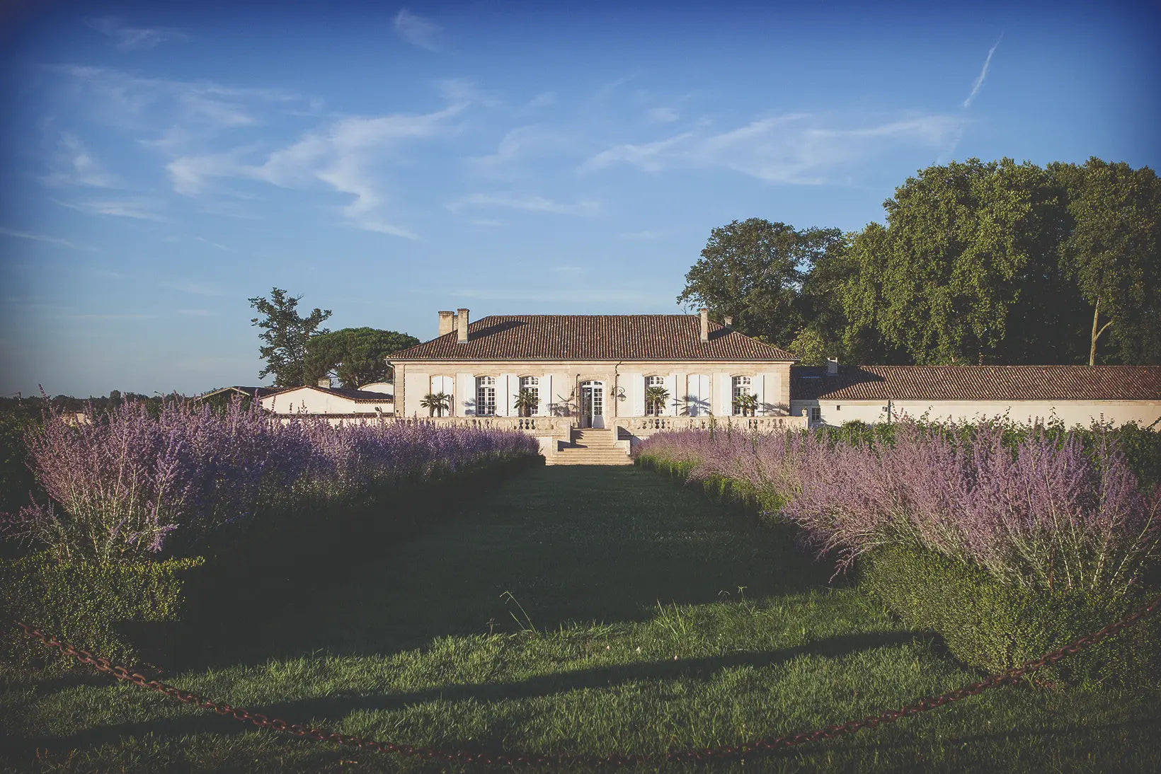 Park im Château La Lagune mit Gebäude im Hintergrund und Lavendel-Büschen davor.