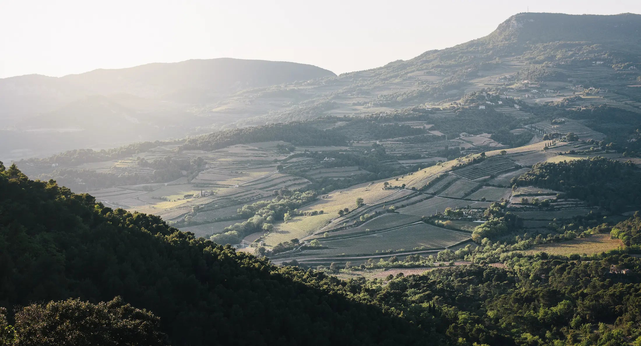 Panorama der Rebberge im südlichen Côtes du Rhône der Domaine Martinelle in der Appellation Ventoux.