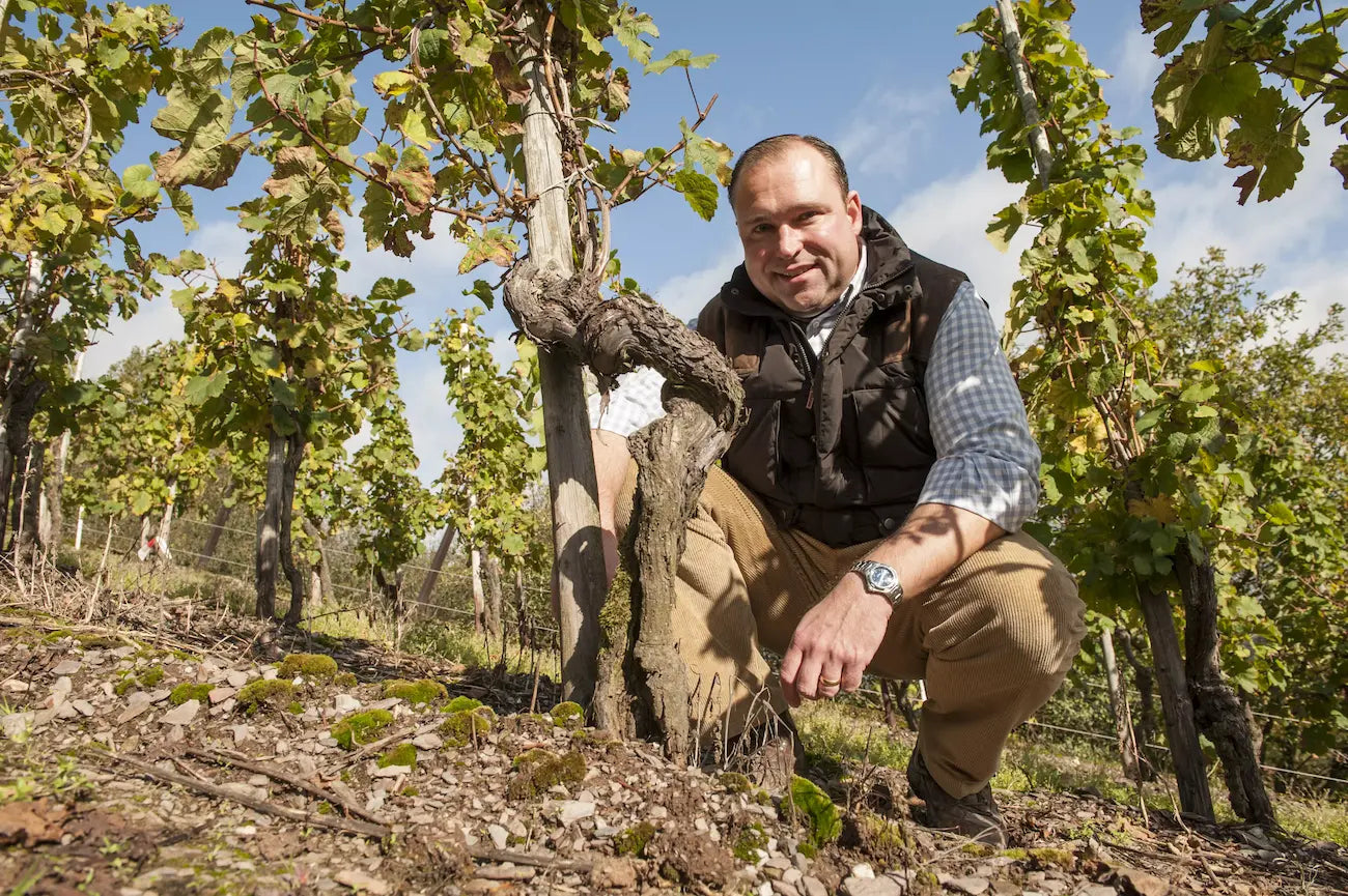 Portrait von Nik Weis im Rebberg Wiltinger Schlangengraben vom Weingut St. Urbanshof Nik Weis.
