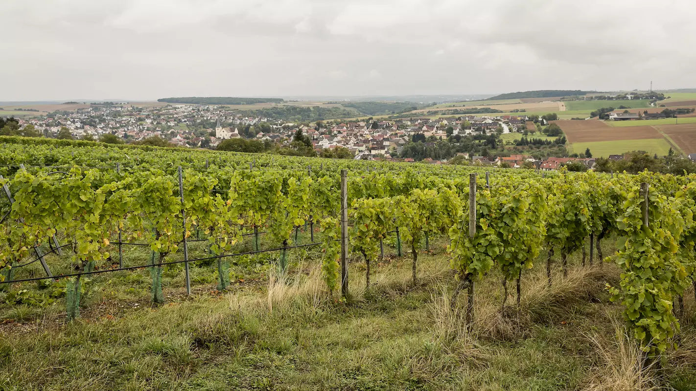 Panorama aus den Weinbergen mit der Gemeinde Rimpar im Hintergrund im Weinbaugebiet Franken.