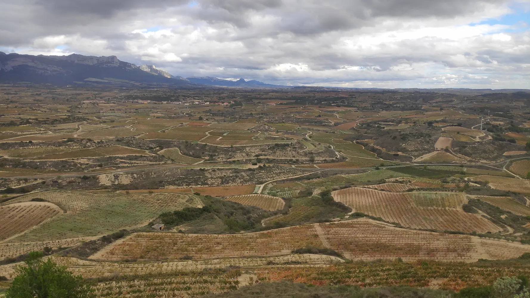 Panorama-Bild vom Rioja Alevesa, in dem Ramon Saenz seine Rebberge hat.
