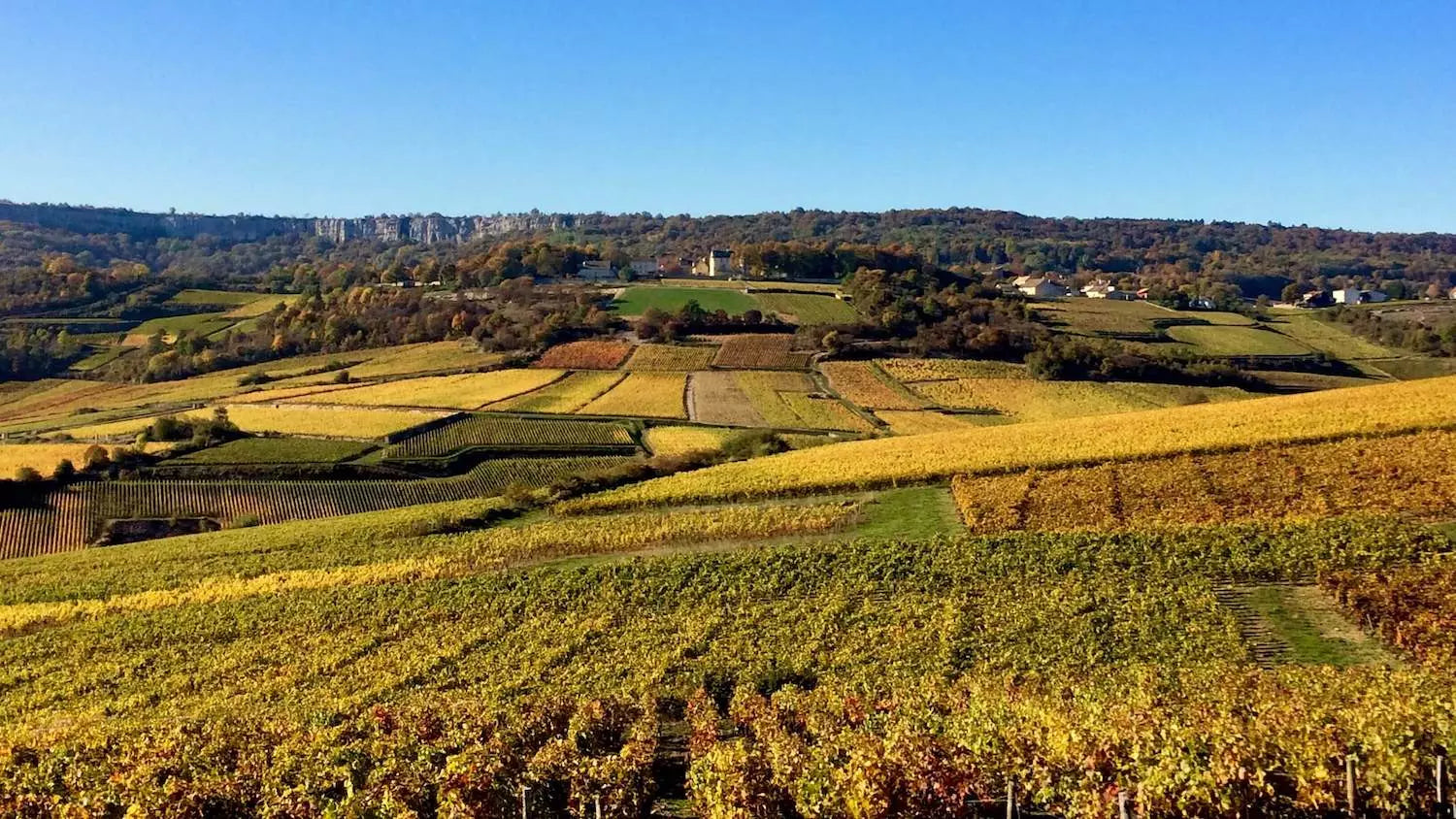 Weinberge im Anbaugebiet Burgund in der Region Saint Romain im Herbst mit verfärbten Blättern.
