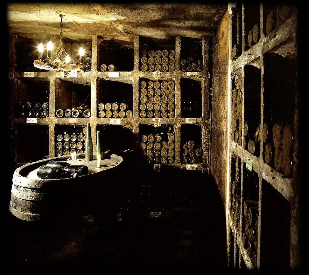 Alte Flaschen im alten Weinkeller im Weingut St. Urbanshof Nik Weis.